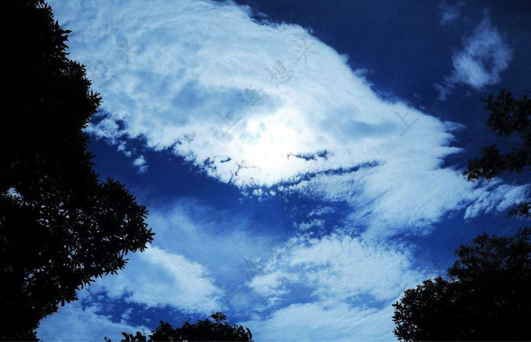 風(fēng)起云涌.上海想興移動廁所的發(fā)展與未來